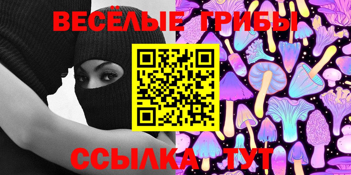Псилоцибиновые грибы Cubensis Владикавказ