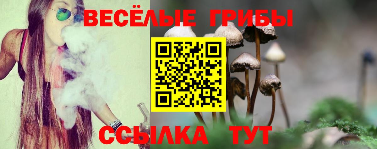 наркотики  Псилоцибиновые грибы Magic Shrooms  Вход с VPN  Владикавказ 