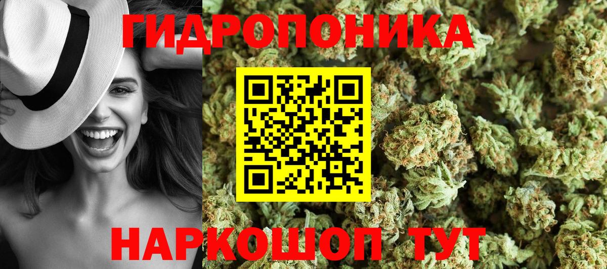 Конопля план  Вход с VPN  Шишки марихуана VHQ  Владикавказ 